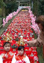 Big 'Hina Matsuri' (Doll Festival) begins in Katsuura